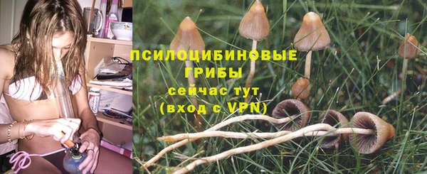 хмурый Армянск