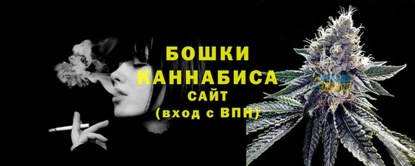 PSILOCYBIN Тында