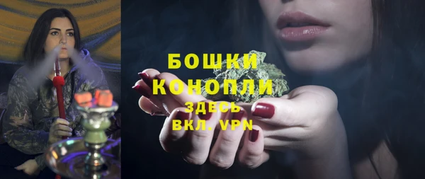 твердый Аркадак