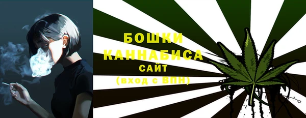 гашик Покровск
