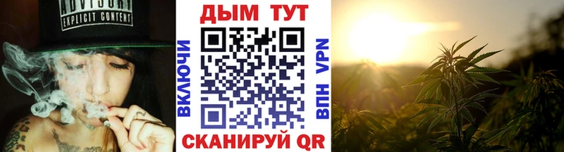 Бошки марихуана сатива  Будённовск 